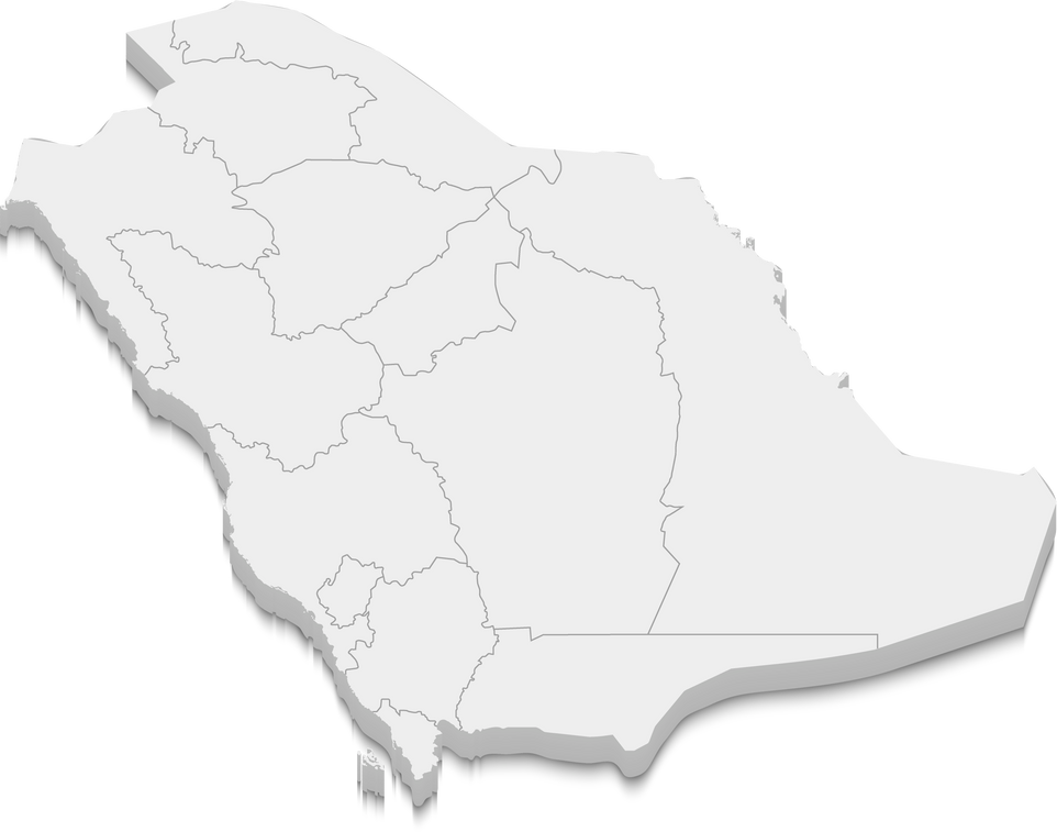 3d map of Saudi Arabia with borders of regions